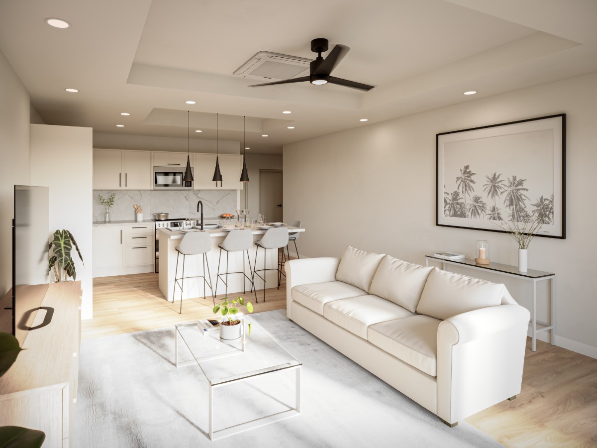 Living Room & Kitchen