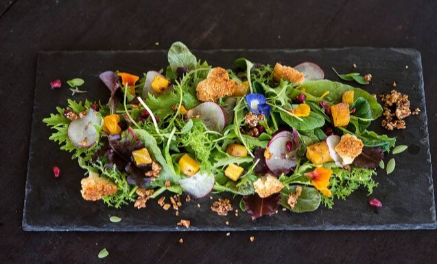 Eco Lifestyle & Lodge